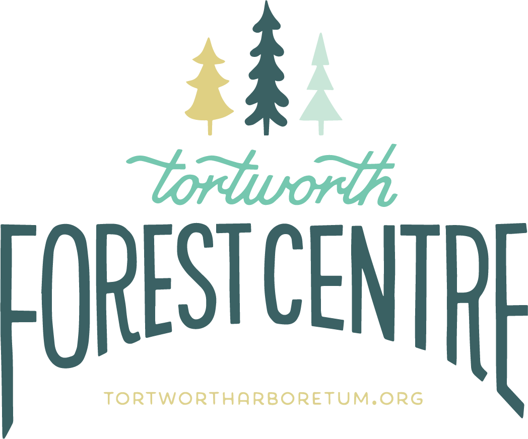 Tortworth Forest Centre