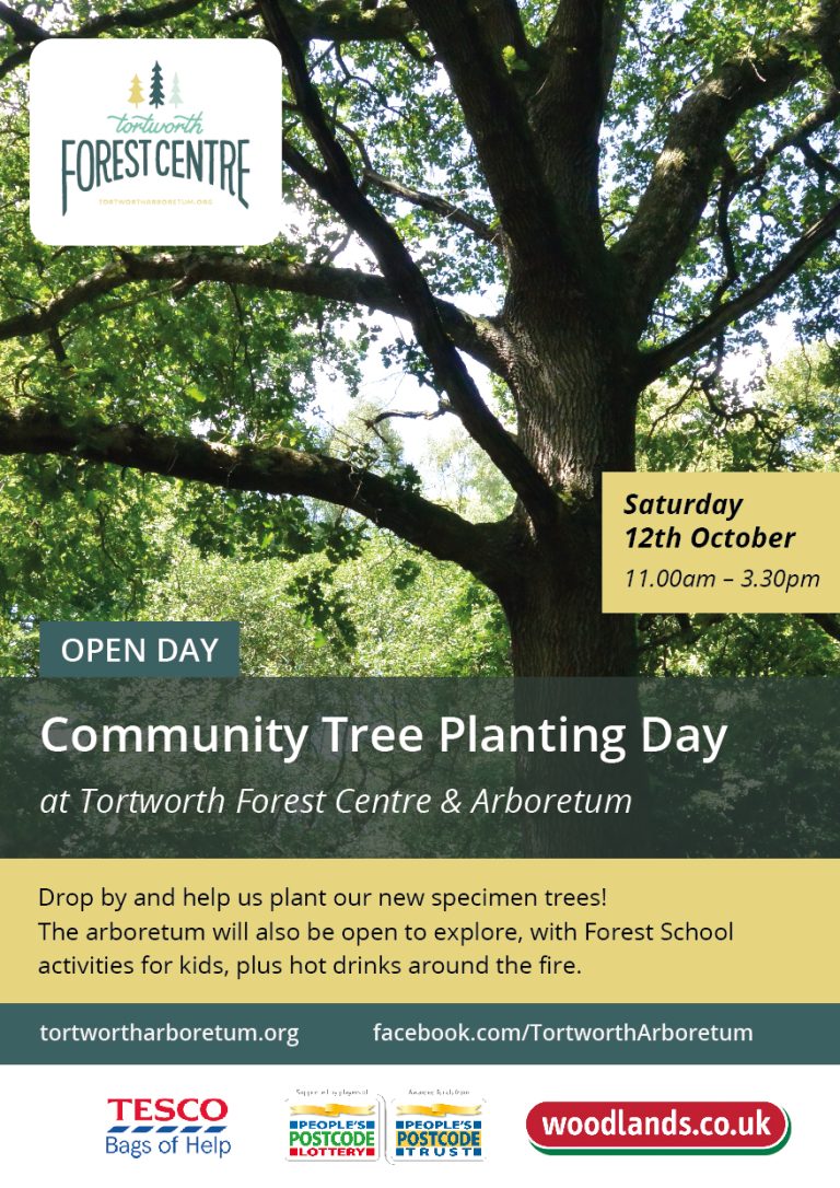 Flyer for tortworth arboretum open day